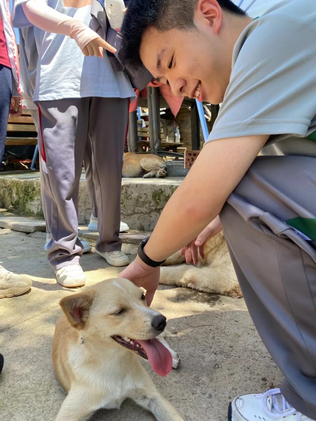 学校图片